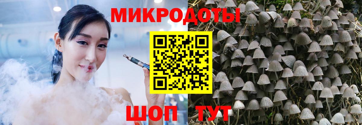 Галлюциногенные грибы Cubensis Минусинск