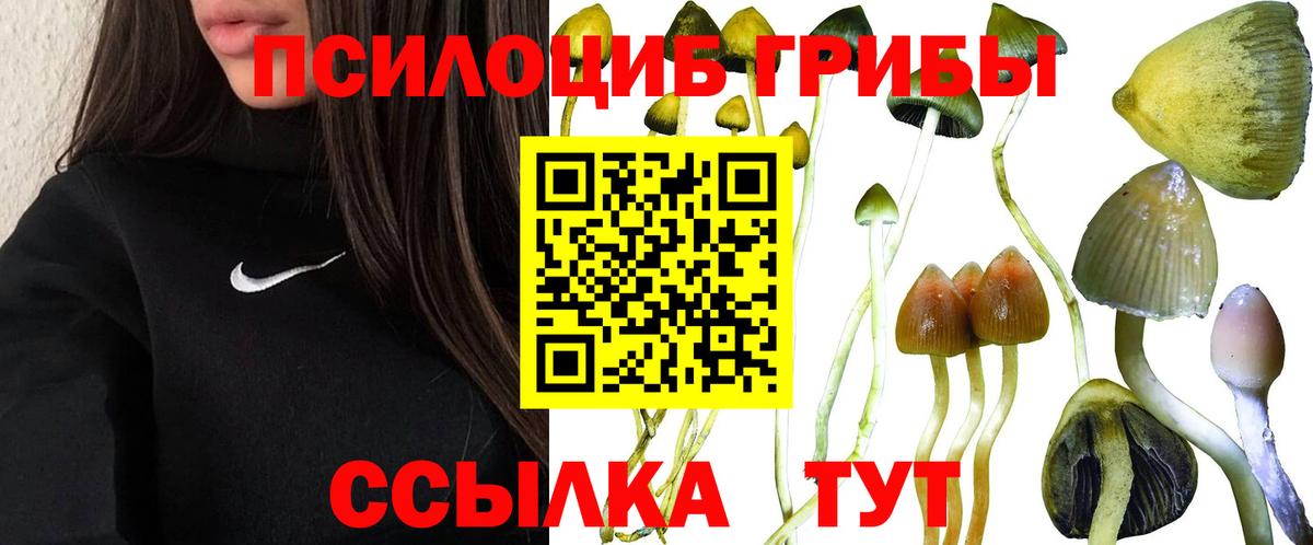 Галлюциногенные грибы мухоморы  Галлюциногенные грибы ЛСД  Вход с VPN  Минусинск 